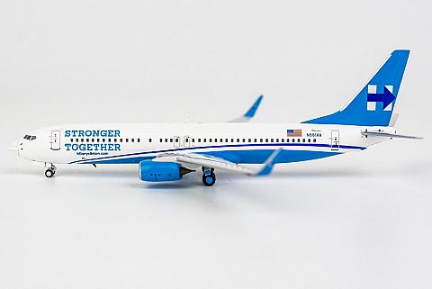 Модель самолета  Boeing 737-800 "Хиллари Клинтон"