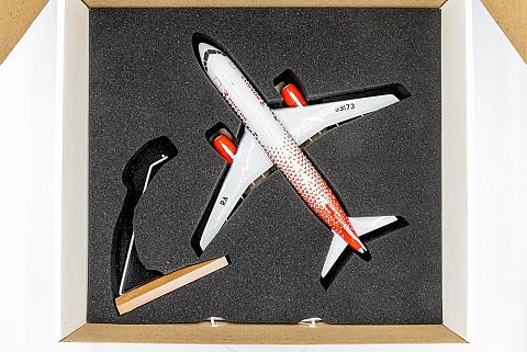 ������ ��������  ����� ���������-100 (� �����)