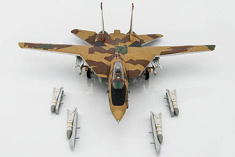    Grumman F-14AM Tomcat