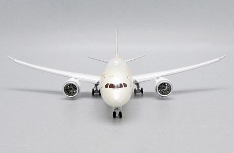 Модель самолета Boeing 787-10 (выпущенная механизация) Модель самолета Boeing 787-10 (выпущенная механизация)