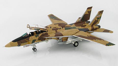    Grumman F-14AM Tomcat