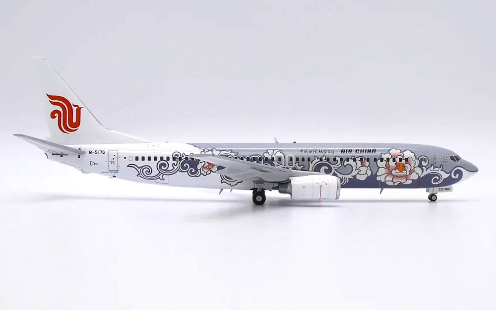    Boeing 737-800 "Silver Peony"