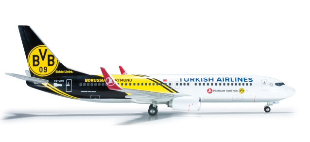    Boeing 737-800 "Borussia Dortmund"