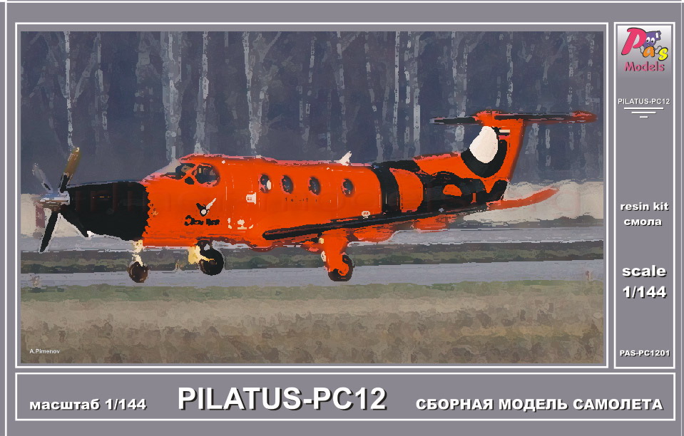 ������� ������ �������� Pilatus PC-12 ����� Pas Models