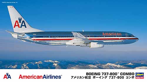 ������� ������ �������� Boeing 737-800 ������������ American Airlines