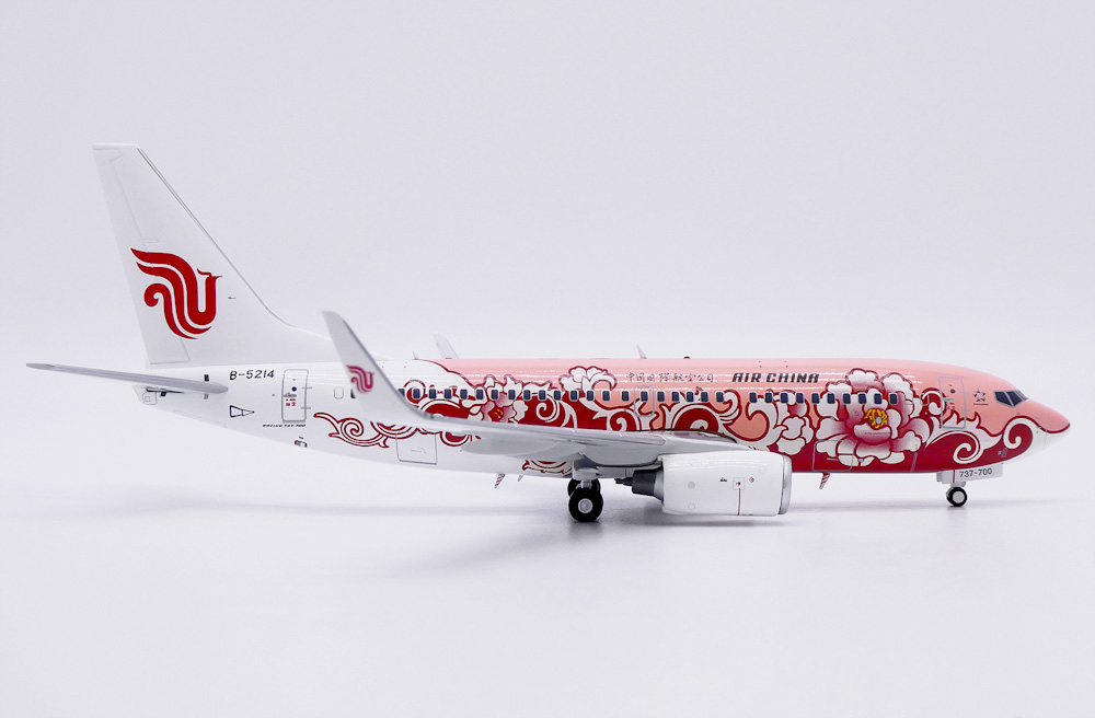    Boeing 737-700 "Brown Peony"